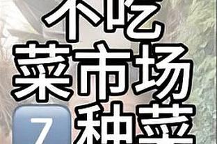 新利体育app官方入口网站截图1